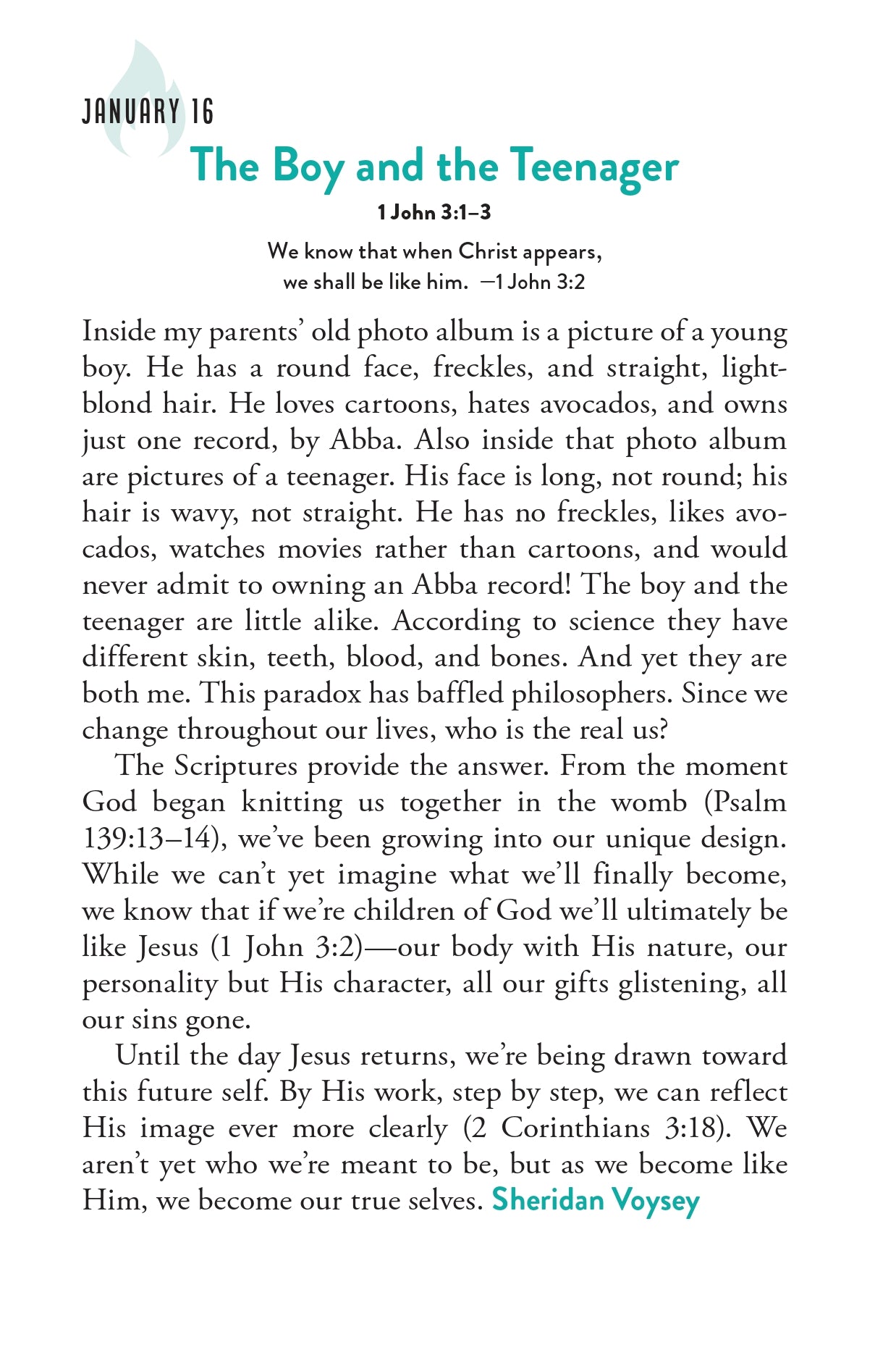 HOLD FAST: 365 Devotions for Men by Men