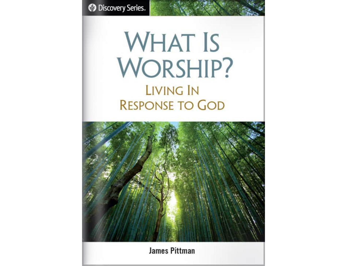 WHAT IS WORSHIP